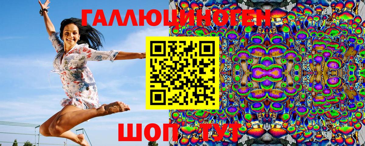 Галлюциногенные грибы Magic Shrooms  Вход с VPN  Заводоуковск  Псилоцибиновые грибы Psilocybine cubensis 